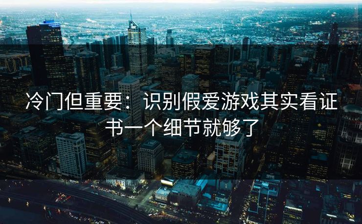 冷门但重要：识别假爱游戏其实看证书一个细节就够了