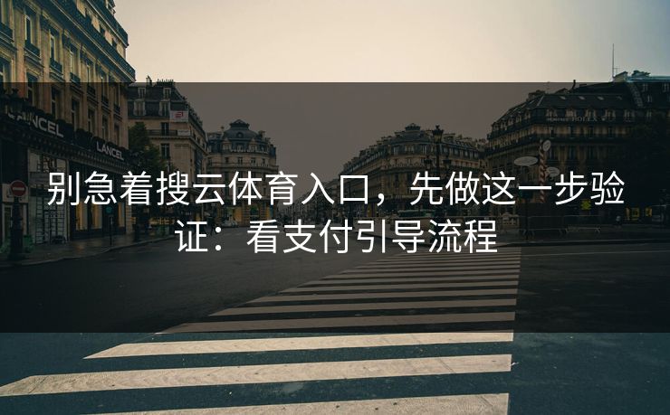 别急着搜云体育入口，先做这一步验证：看支付引导流程